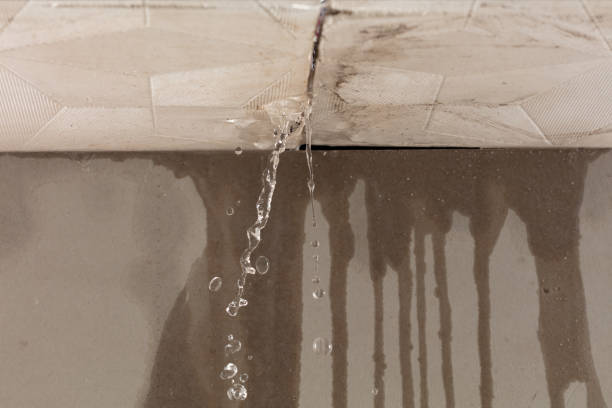 Professional Water Damage Inspection technician working in Mertens, TX